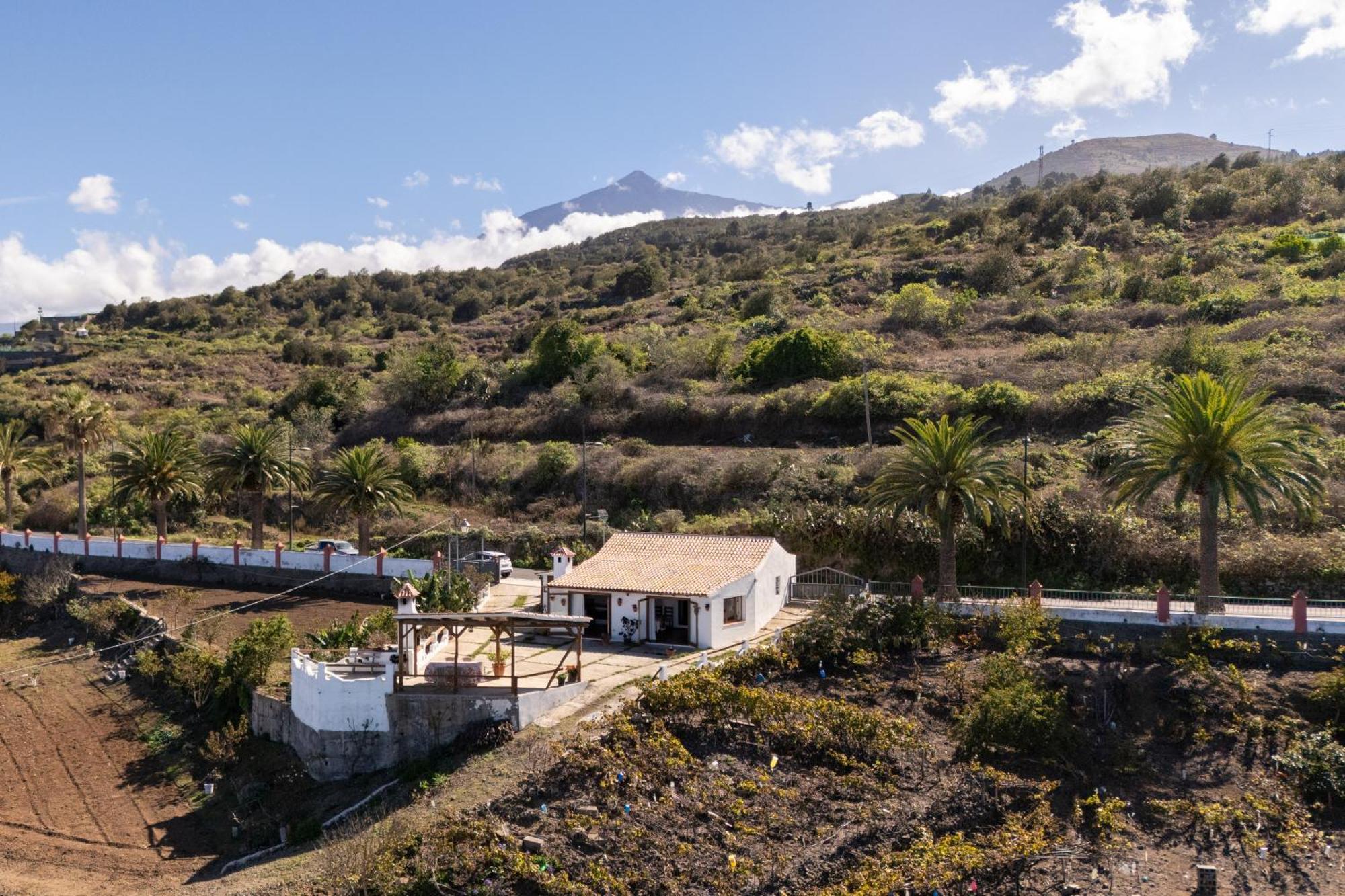 Casa Rural Los Barros Genovés Dış mekan fotoğraf